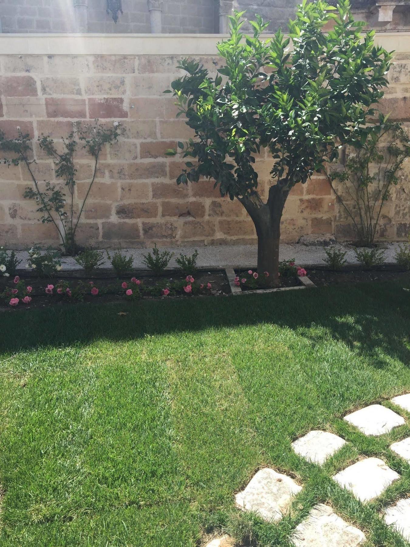 Bed and breakfast Sine Tempore